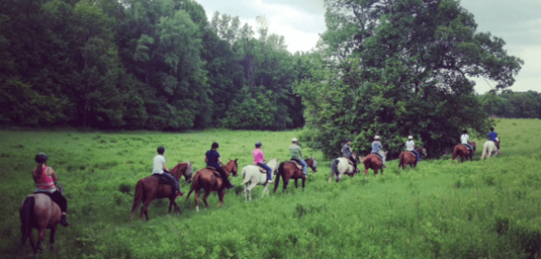 Trail riding in field